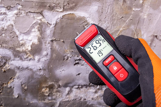 Water Damage Restoration in Childersburg, AL