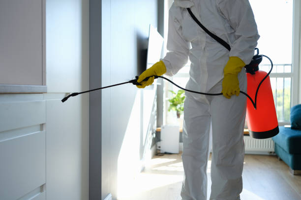 Best Mold Cleaning Services  in Childersburg, AL