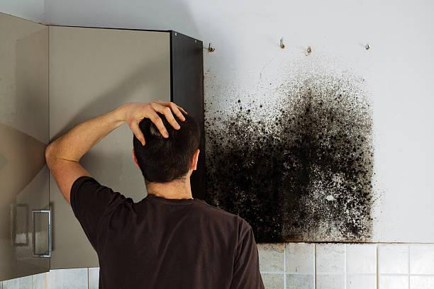 Best Residential Mold Removal  in Childersburg, AL
