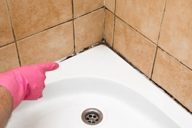 Best Crawl Space Mold Removal  in Childersburg, AL